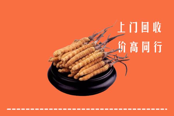 高价求购：普安县回收散虫草