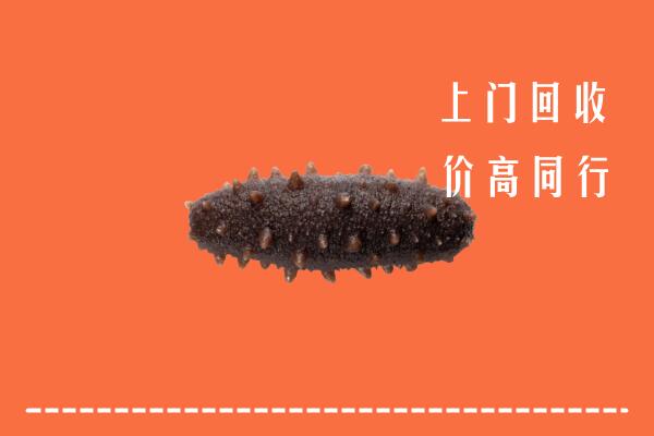 高价求购：普安县回收海参