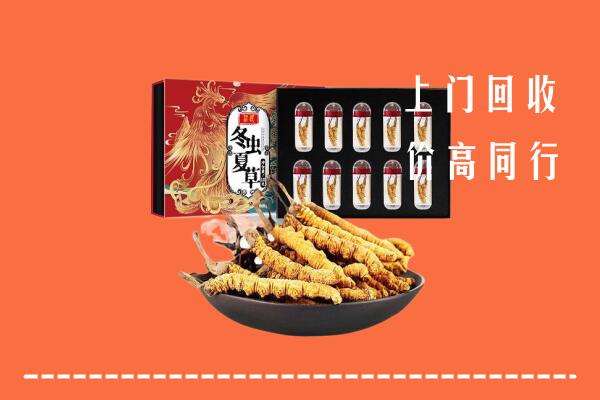 普安县高价回收虫草